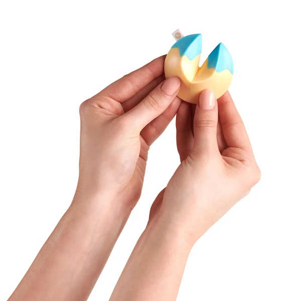 LUCKY FORTUNE BISCUIT SERIES 1 - 4 COLOURS