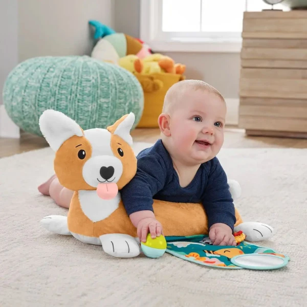 FISHER PRICE ΜΑΞΙΛΑΡΑΚΙ ΔΡΑΣΤΗΡΙΟΤΗΤΩΝ - ΣΚΥΛΑΚΙ