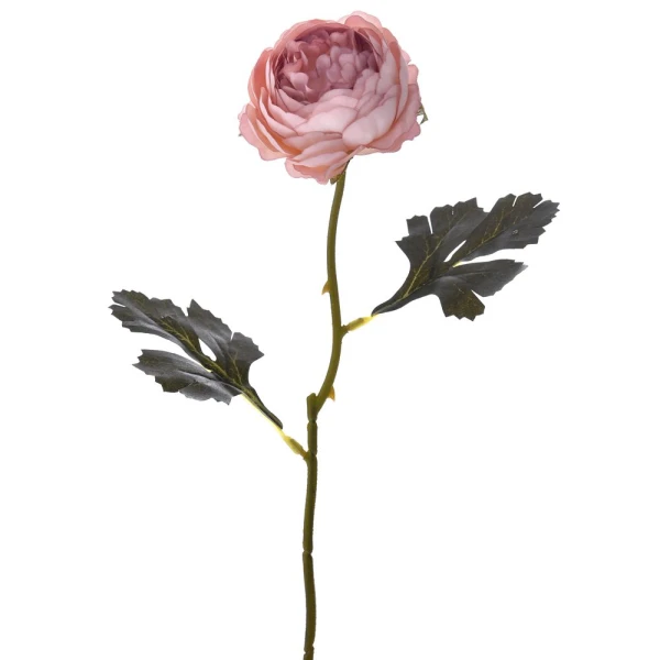 PUCE PEONY STEM 37 cm