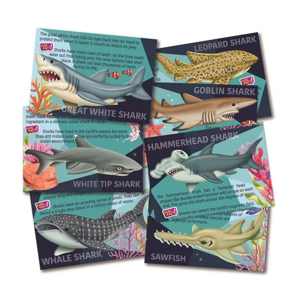 4M BUILD SHARKS MAGNETS/PINS