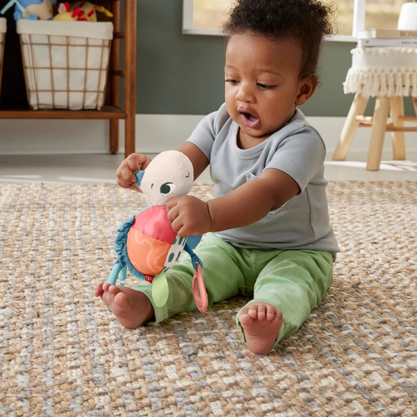 FISHER PRICE ΧΕΛΩΝΑΚΙ ΚΑΡΟΤΣΙΟΥ