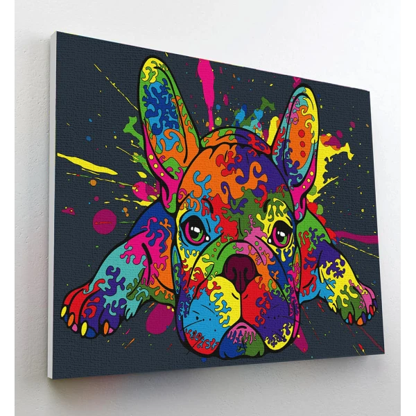 SPLAT PLANET PAINTING BY NUMBERS KIT ON FRAMED CANVAS 40X30 cm FRENCH BULLDOG