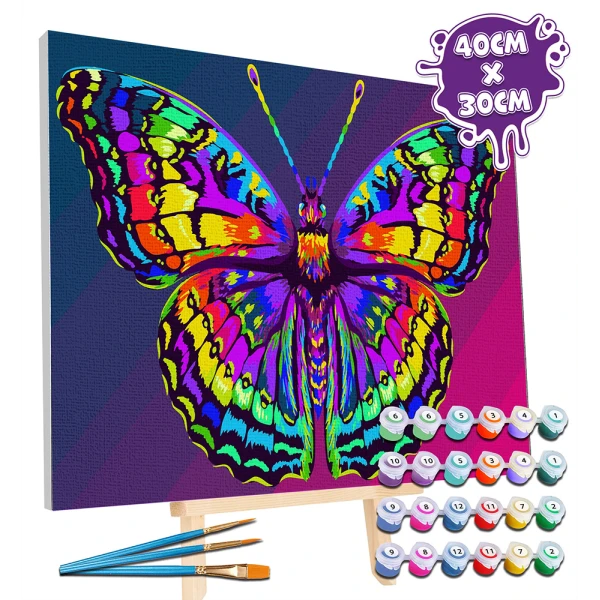 SPLAT PLANET PAINTING BY NUMBERS KIT ON FRAMED CANVAS 40X30 cm BUTTERFLY