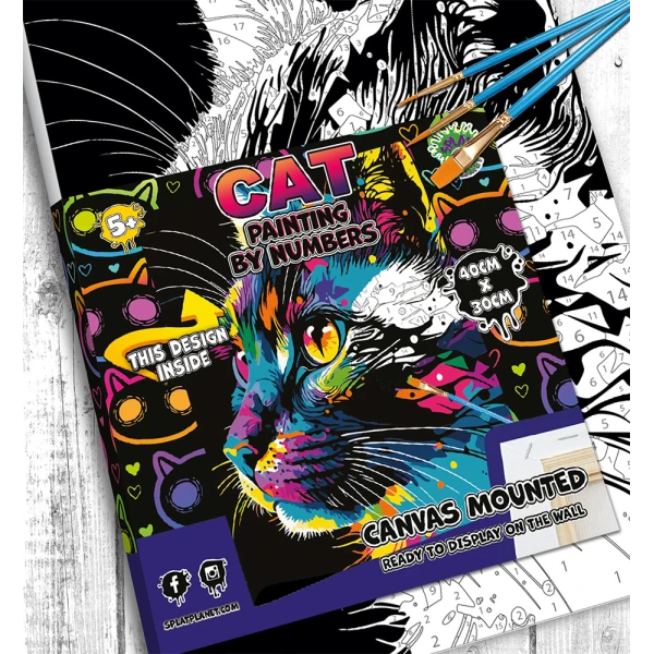 SPLAT PLANET PAINTING BY NUMBERS KIT ON FRAMED CANVAS 40X30 cm BRIGHT CAT