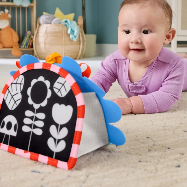 FISHER PRICE ΠΑΙΧΝΙΔΙ ΔΡΑΣΤΗΡΙΟΤΗΤΩΝ ΚΑΘΡΕΦΤΑΚΙ ΣΚΑΝΤΖΟΧΟΙΡΑΚΙ