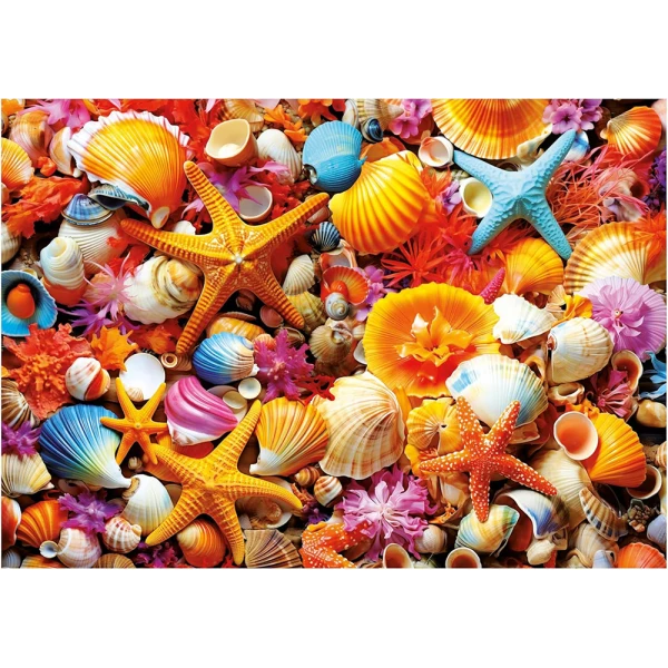 EDUCA PUZZLE 1000 pcs SHELL COLLAGE