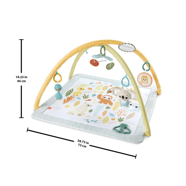 FISHER PRICE ΓΥΜΝΑΣΤΗΡΙΟ ΟΙ ΠΡΩΤΕΣ ΤΟΥ ΑΙΣΘΗΣΕΙΣ