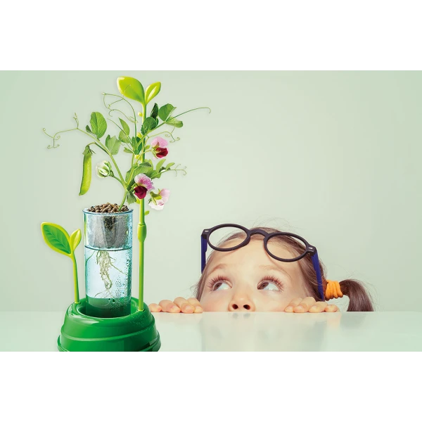 SCIENCE AND PLAY LAB EDUCATIONAL GAME MY GARDEN FOR AGES 8+