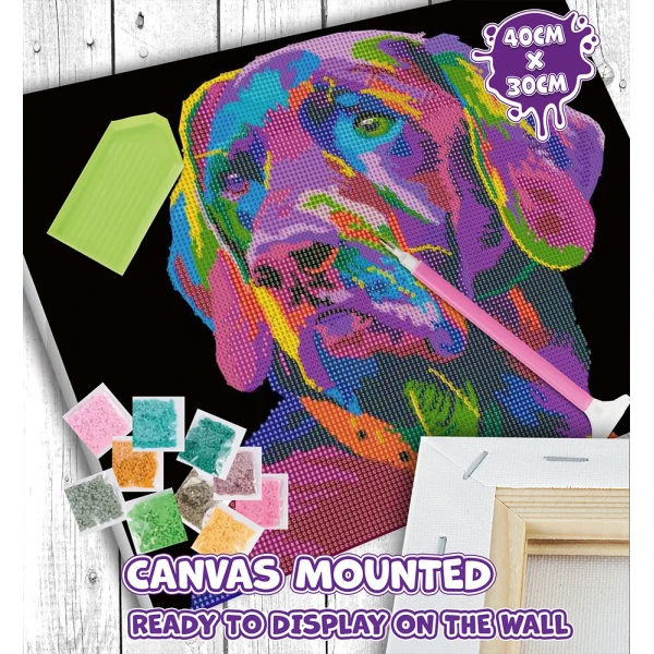SPLAT PLANET DIAMOND PAINTING KIT ON FRAMED CANVAS 30X40 cm DOG