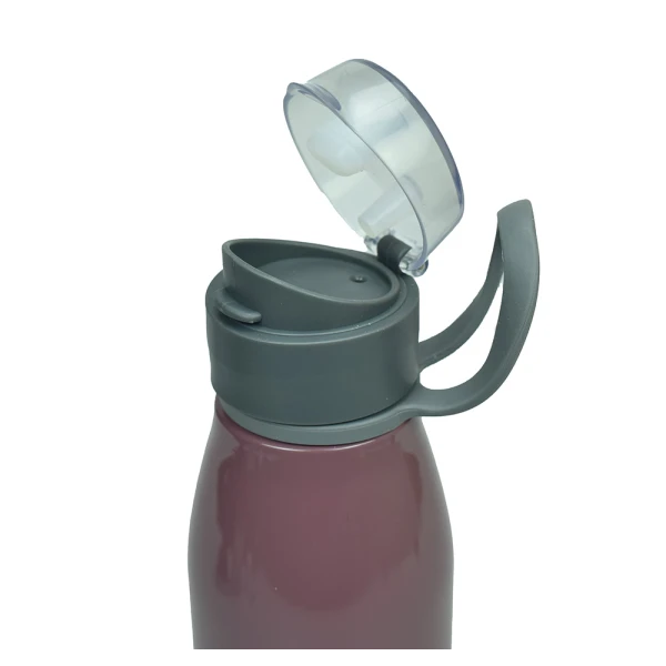 BACK ME UP STAINLESS STEEL WATER BOTTLE 600ml NO FEAR GRAPE