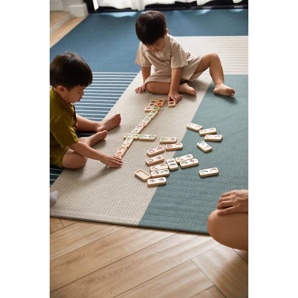 DOMINO GAME PLAN TOYS WITH FRUITS & VEGETABLES