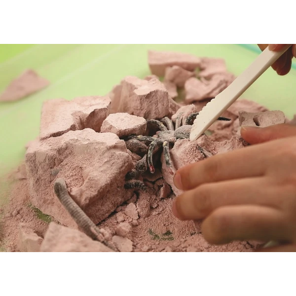 4M EXCAVATION BUGS OF OUR PLANET 