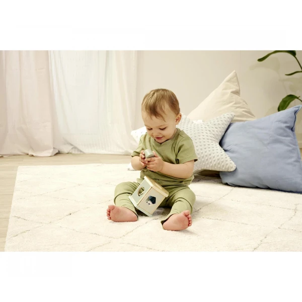EICHHORN SHAPE BOX PANDA