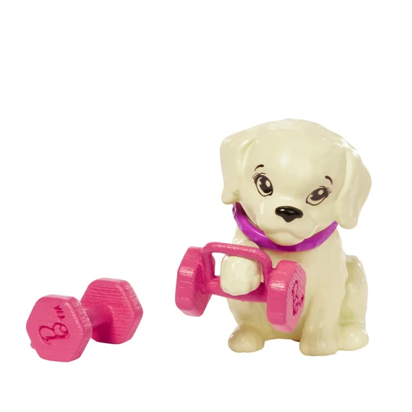 DOLL BARBIE WELLNESS BEAUTY DAY - GYMNASTICS