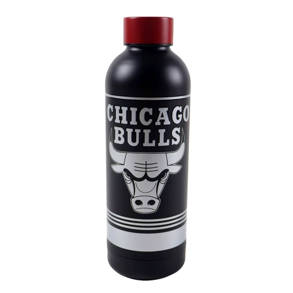 BACK ME UP STAINLESS STEEL THERMOS BOTTLE 530ml NBA - 4 DESIGNS