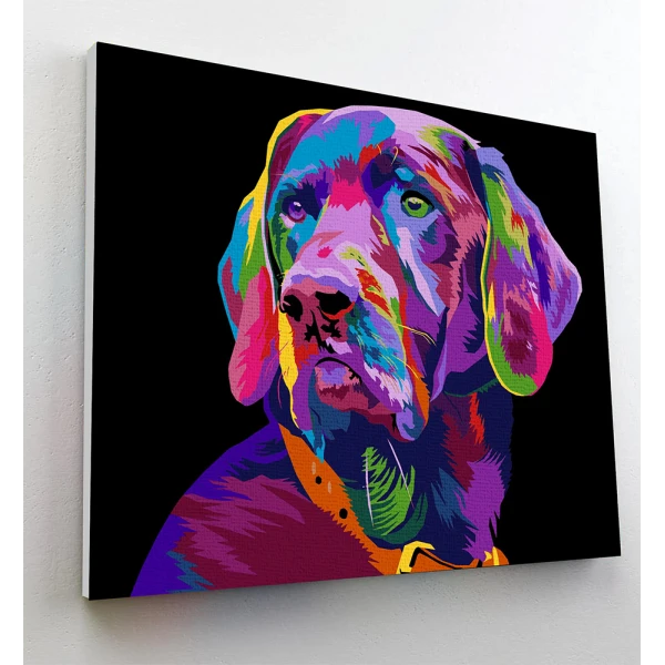 SPLAT PLANET PAINTING BY NUMBERS KIT ON FRAMED CANVAS 40X30 cm DOG