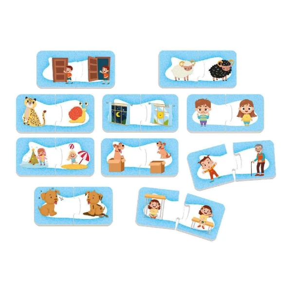 LISCIANI EDUCATIONAL GAME CAROTINA LOGIC