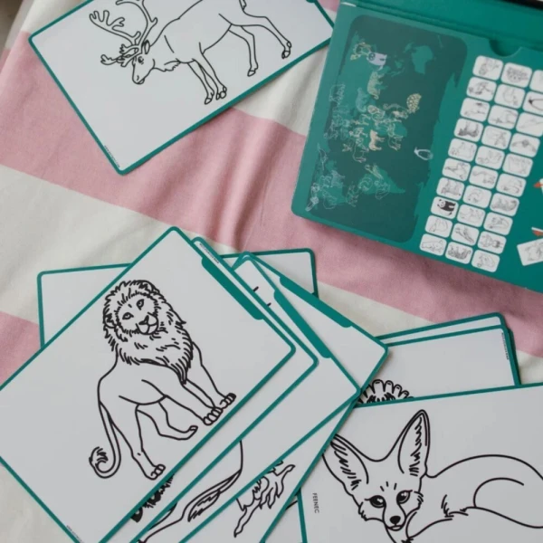 KIDYWOLF DRAWING PAD ANIMALS AROUND THE WORLD
