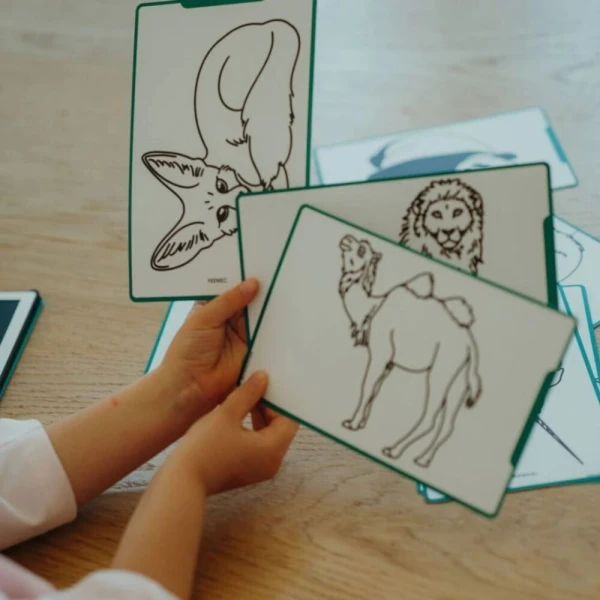 KIDYWOLF DRAWING PAD ANIMALS AROUND THE WORLD