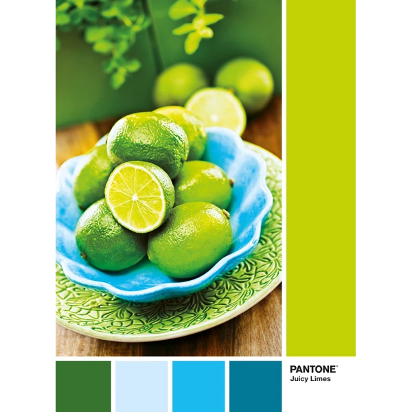CLEMENTONI PUZZLE PANTONE LIME PUNCH 1000 PCS