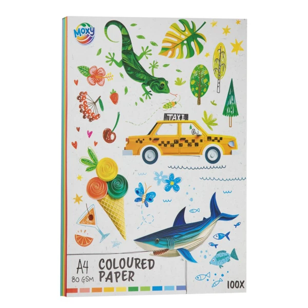 100 COLOURED A4 PAPERS 80gsm