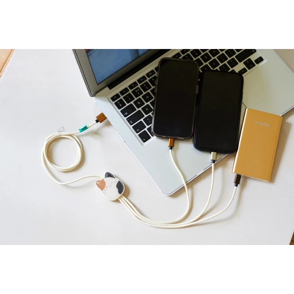 SQUISHMALLOWS 3-IN-1 CHARGING CABLE 1.2M - CAM THE CAT
