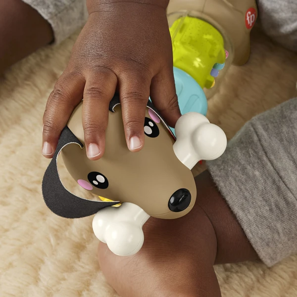 FISHER PRICE CLICK & SPIN ΣΚΥΛΑΚΙ ΔΡΑΣΤΗΡΙΟΤΗΤΩΝ 