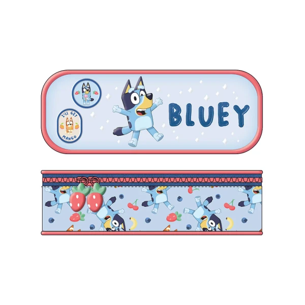 ΚΑΣΕΤΙΝΑ ΟΒΑΛ BLUEY BLUE