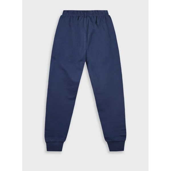 ENERGIERS TROUSERS NAVY