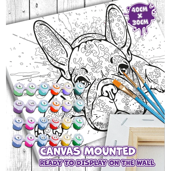 SPLAT PLANET PAINTING BY NUMBERS KIT ON FRAMED CANVAS 40X30 cm FRENCH BULLDOG