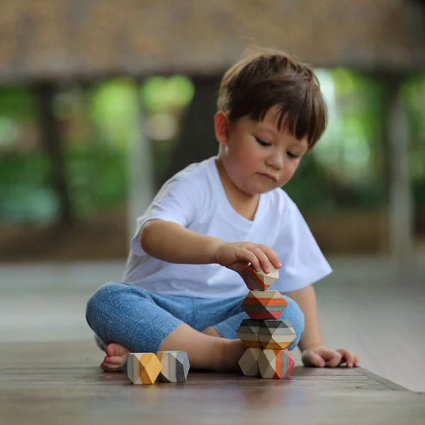 PLAN TOYS ΞΥΛΙΝΟ ΠΑΙΧΝΙΔΙ ΓΕΩΜΕΤΡΙΚΑ ΒΡΑΧΑΚΙΑ