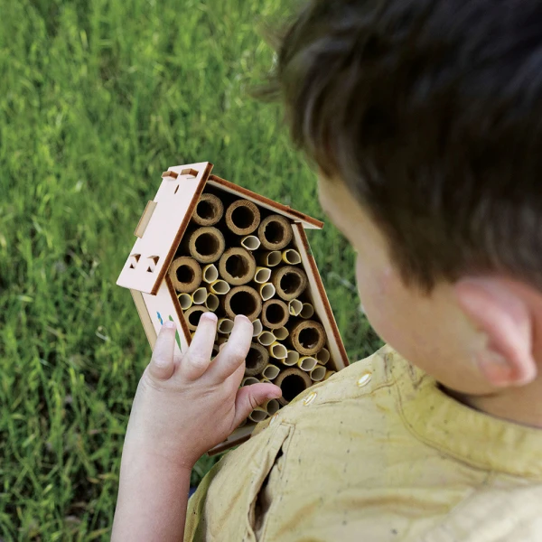 LISCIANI I\'M A GENIUS SCIENCE – BEEKEEPING LAB