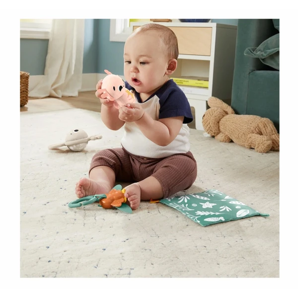 FISHER PRICE SENSIMALS ΣΕΤ ΔΩΡΟΥ