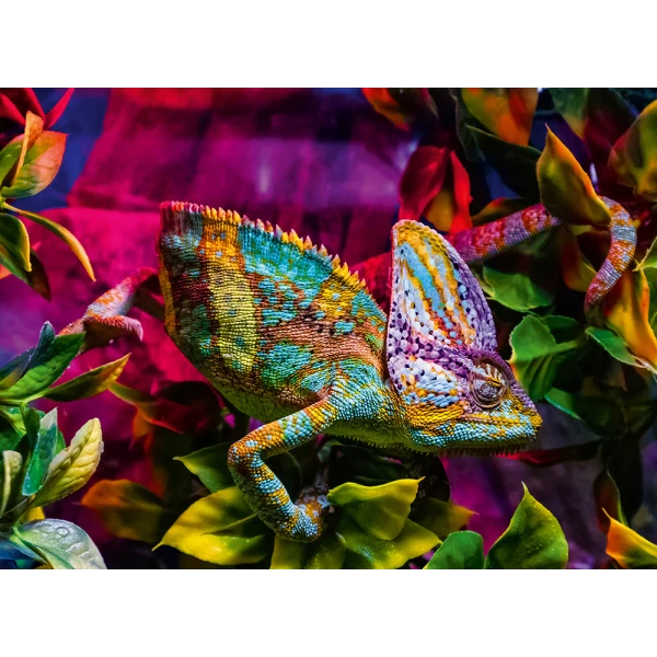 RAVENSBURGER ΠΑΖΛ 500 τεμ. ΧΑΜΕΛΕΩΝ