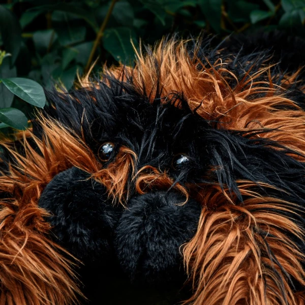 GIANT PLUSH TARANTULA 85 cm