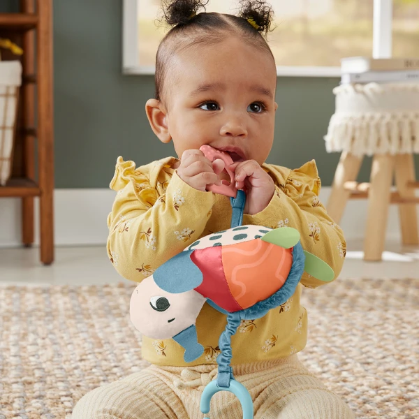 FISHER PRICE ΧΕΛΩΝΑΚΙ ΚΑΡΟΤΣΙΟΥ