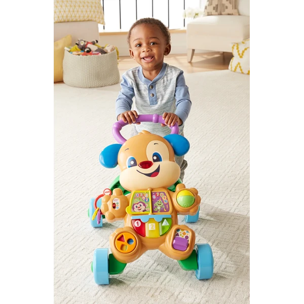 FISHER PRICE SMART STAGES ΕΚΠΑΙΔΕΥΤΙΚΗ ΣΤΡΑΤΑ ΣΚΥΛΑΚΙ
