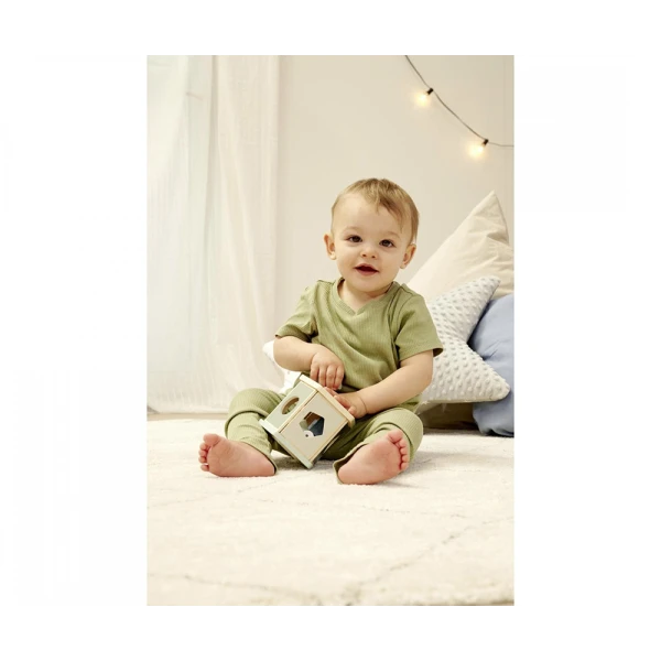 EICHHORN SHAPE BOX PANDA