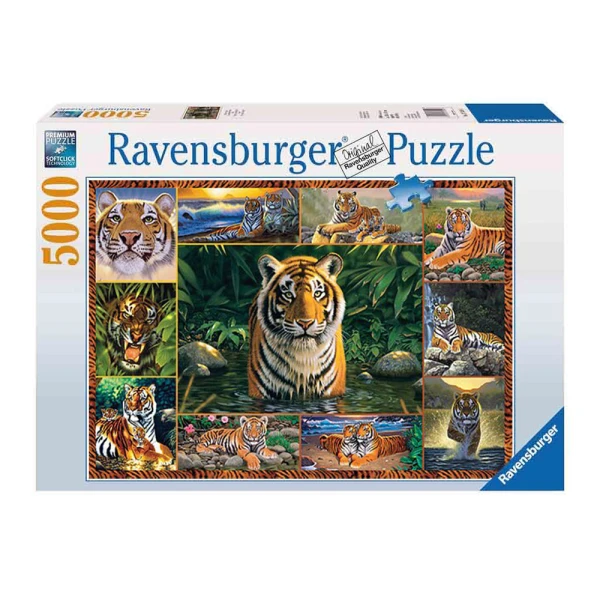 PUZZLE 5000 pcs RAVENSBURGER TIGERS
