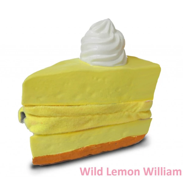 WILD CAKES ΜΙΝΙ ΛΟΥΤΡΙΝΑ