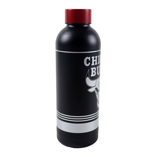 BACK ME UP STAINLESS STEEL THERMOS BOTTLE 530ml NBA - 4 DESIGNS
