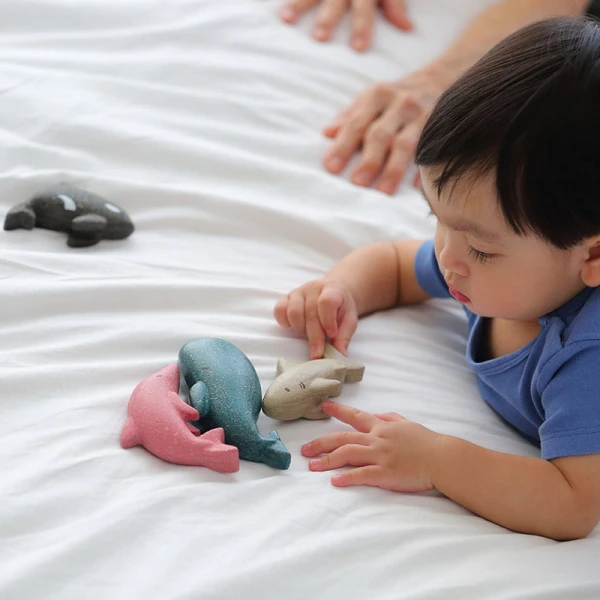 PLAN TOYS ΞΥΛΙΝΟΣ ΚΑΡΧΑΡΙΑΣ