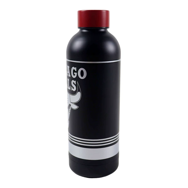 BACK ME UP STAINLESS STEEL THERMOS BOTTLE 530ml NBA - 4 DESIGNS