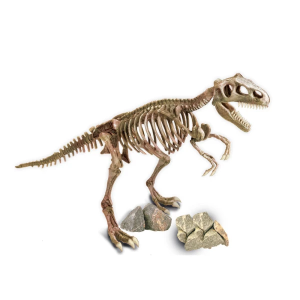 YOUNG SCIENTISTS DINOSAURS 2 IN 1