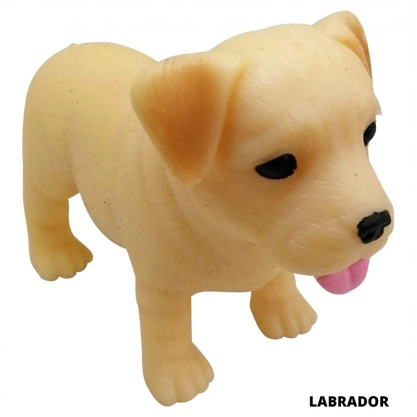 DRESS YOUR PUPPY  - 12 DESIGNS