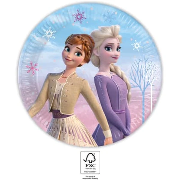 LARGE PLATES 23 cm 8 pcs FROZEN 2 NEXT GENERATION