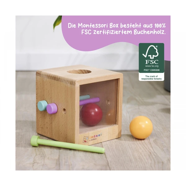 EICHHORN MONTESSORI EDUCATIONAL BOX WITH BALLS