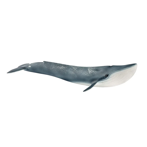 ΜΙΝΙΑΤΟΥΡΑ SCHLEICH ΜΠΛΕ ΦΑΛΑΙΝΑ