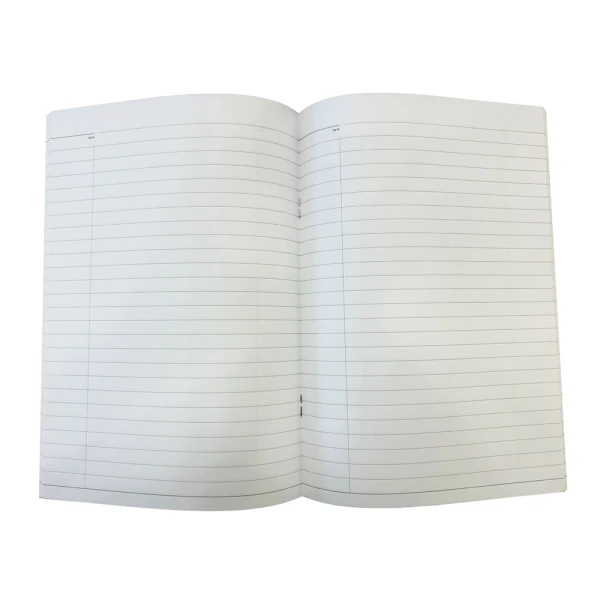 MEET THE GREEKS NOTEBOOK - MEDUSA