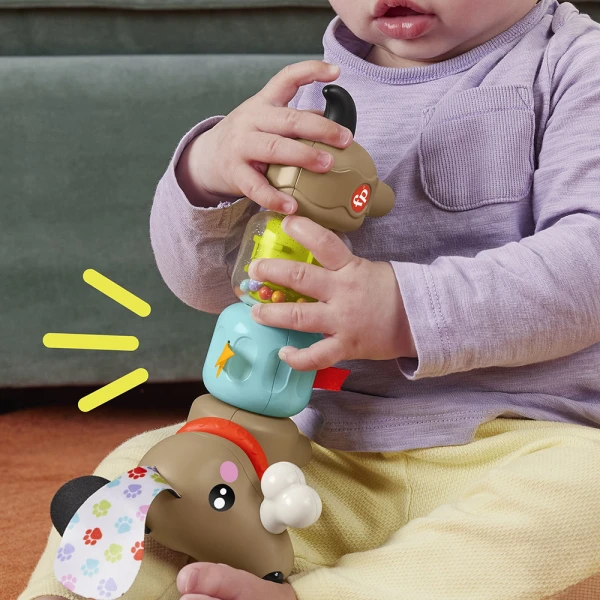 FISHER PRICE CLICK & SPIN ΣΚΥΛΑΚΙ ΔΡΑΣΤΗΡΙΟΤΗΤΩΝ 